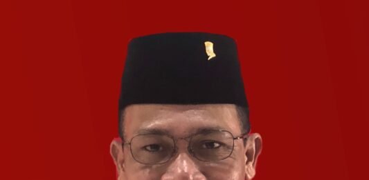 Politisi PDIP Masinton Pasaribu/Ist