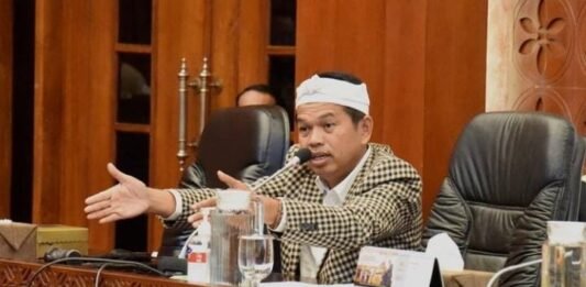 Wakil Ketua Komisi IV DPR RI Dedi Mulyadi/Ist