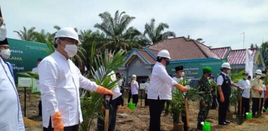 Menteri Koordinator Bidang Perekonomian Airlangga Hartarto dan Ketua Umum Pengurus Besar Nahdlatul Ulama (PBNU) KH Yahya Cholil Staquf memimpin langsung replanting/Ist