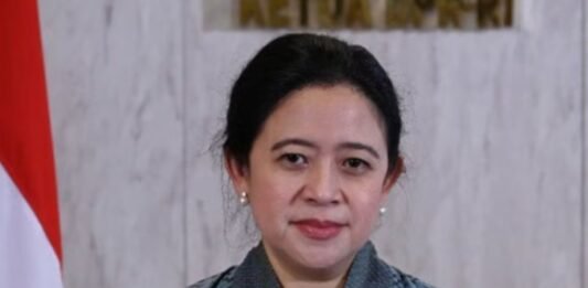 Ketua DPR RI Puan Maharani/Ist